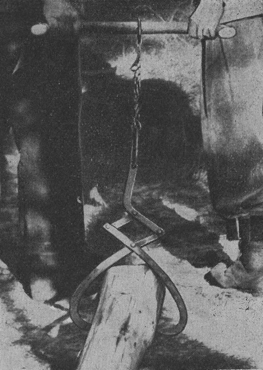 Foto "Rückezange nach Melzer zum Rücken von Stangen (Forstamt Rhoden)"