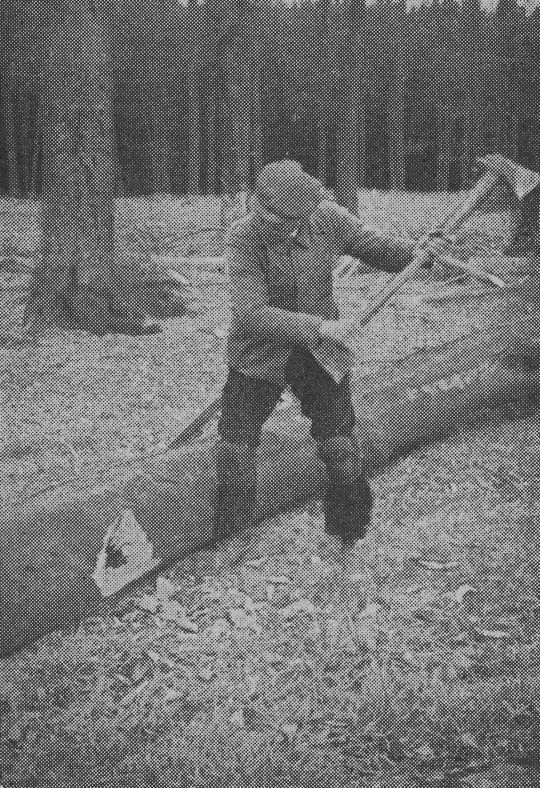 Foto "Aufhauen von Beulen beim Vermessen uns Aushalten von Buchenstammholz"