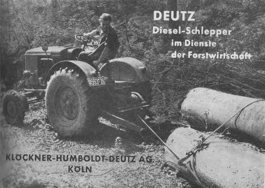 Foto Rücken von Stammholz