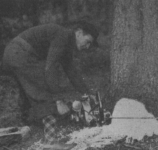 Foto Anbringen des Fällschnitts