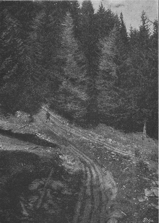 Foto "Unterste Spitzkehre in der Signori-Riese"