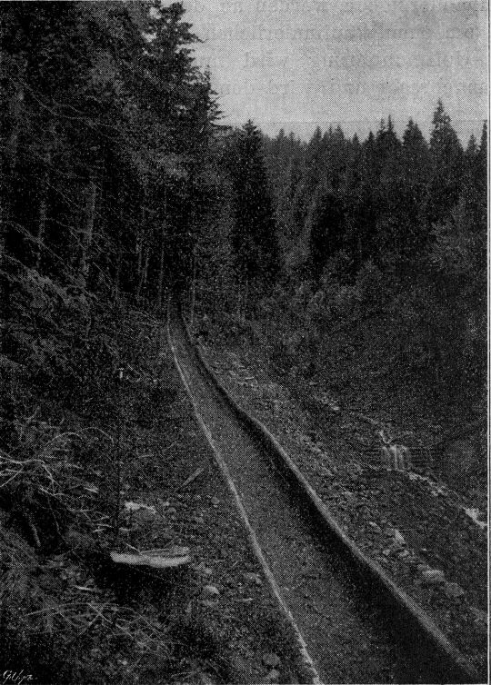 Foto "Gerade Strecke der Zochi-Riese. 16 Prozent Gefälle"
