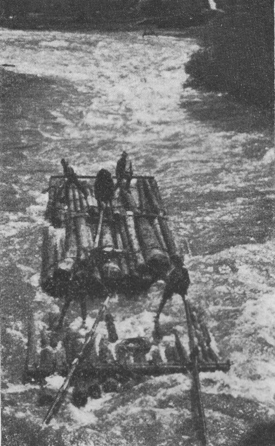 Foto "Floss auf der Salza, Steiermark"