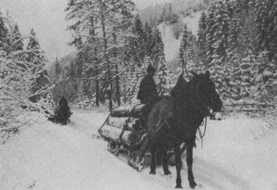 Foto "Schlitten für Pferdezug in Obersteiermark"