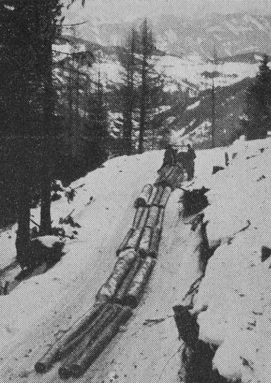 Foto "Streifen von Holz im Winter mittels "Unimog"-Radschlepper ..."