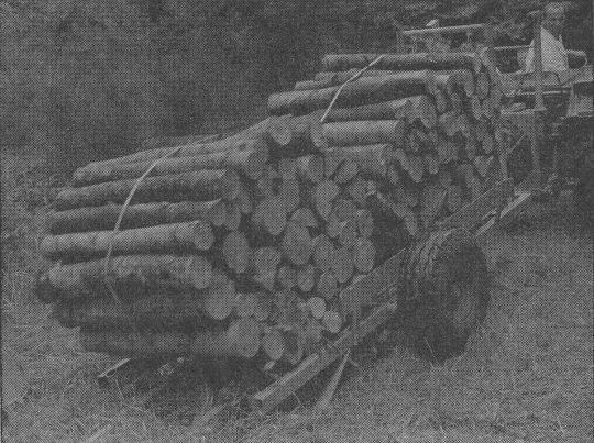 Foto "Radolfzeller Rückewagen"