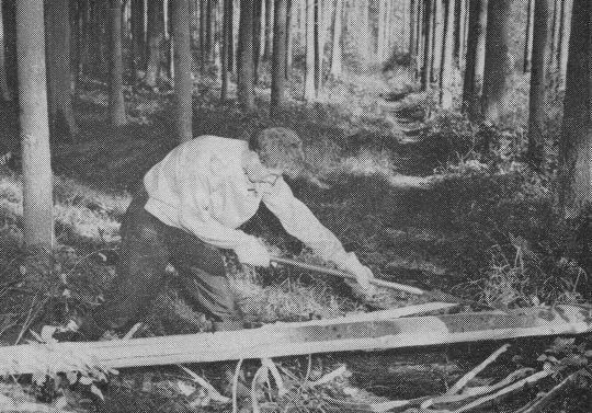 Foto "Beispiel für das Ausnutzen der Körperlänge beim Entrinden"