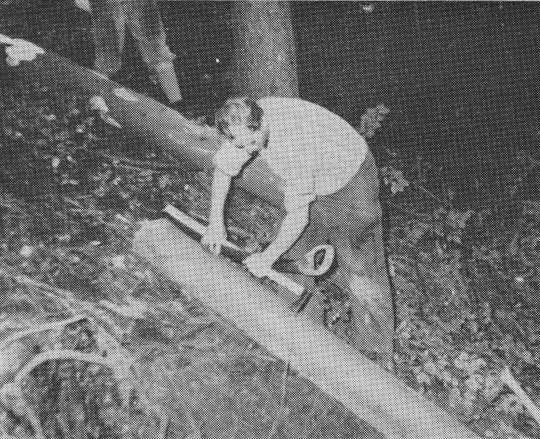 Foto "Aufmessen mit Messstock unter Mitführung einer Einmannzugsäge"