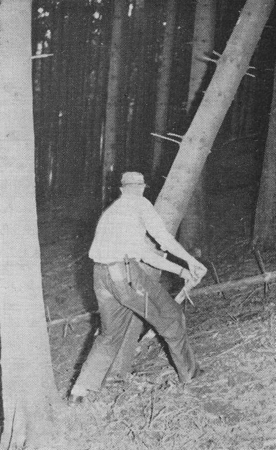 Foto "Lösen eines Hängers in ebenem Gelände"