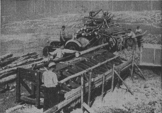 Foto "Fliessstrecke für das Aufbereiten und Ausformen von Schichtholz"