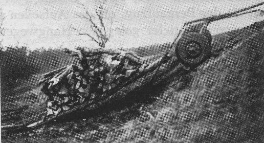 Foto "Zug von Schichtholz mit Hilfe eines luftgummibereiften Zweiradkarrens ..."