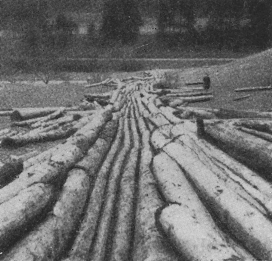 Foto ""Austafeln" bei "Holzlieferung" auf Gelände geringer Neigung"