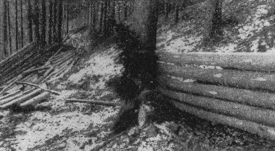 Foto "Riesauslauf einer mit Draht gebundenen "Loite" aus Schwachholz. ..."