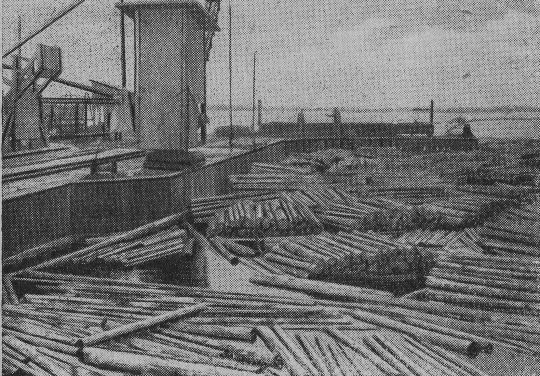 Foto "Lagerung von Schichtholzbündeln in einem Schwemmteich"