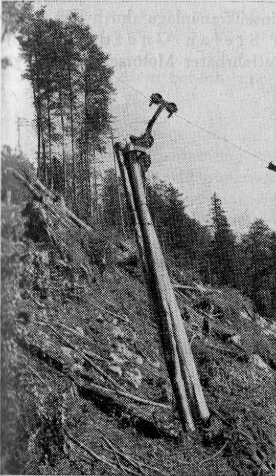 Foto "Aufziehen von Holz mittels Mariabrunner- Kleinseilgerät"