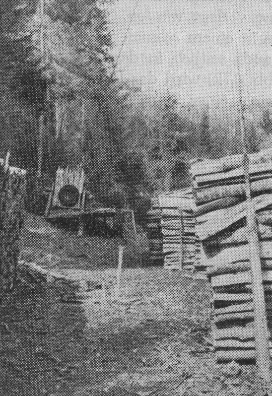Foto "Talstation einer Drahtriese bei Eibiswald, Südsteiermark"