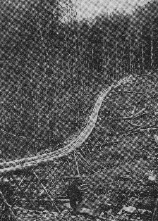 Foto "Stangenholzriese"