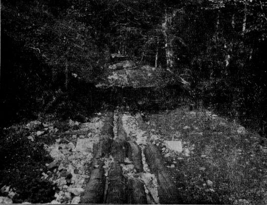 Foto "Langengrundriese. Forstbezirk Kirchzarten. Mit Stangenpritsche"