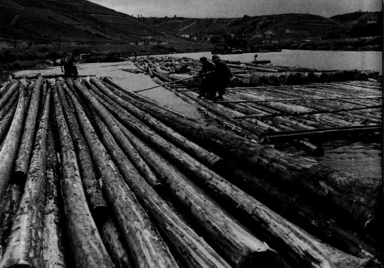 Foto "Flöße auf dem Main zwischen Randersacker und Heidingsfeld"