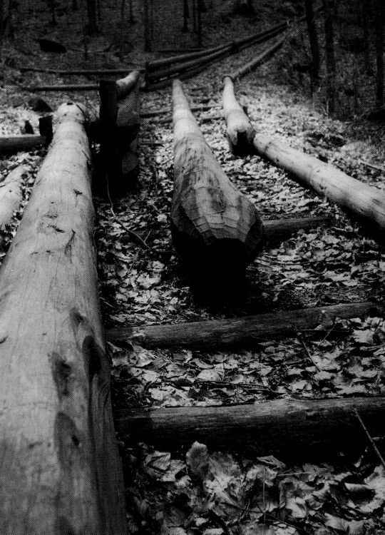 Foto "Ein Baumstamm saust auf einer Holzriese im Schwarzwald zu Tal"