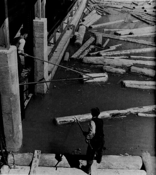 Foto "Mit dem Floßhaken dirigieren die Triftarbeiter das Holz ..."