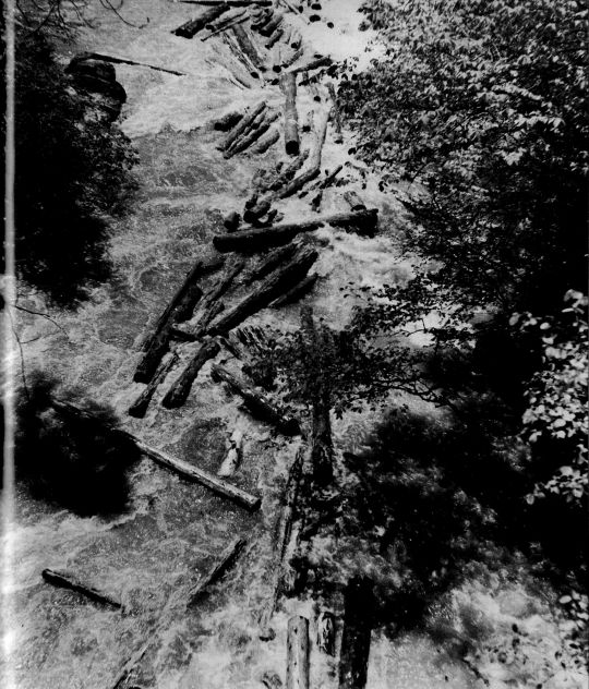 Foto "Am Trifttag stürzt das Holz mit lautem Getose die Brandenberger Ache hinab"