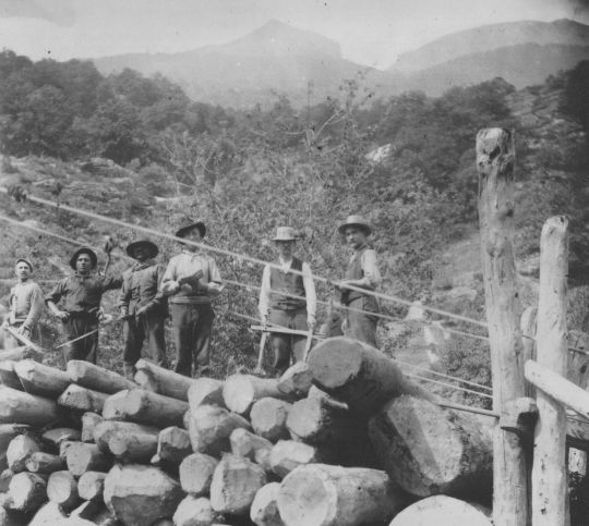 Foto Vermessen des Holzes an einer Station der Drahtseilriese