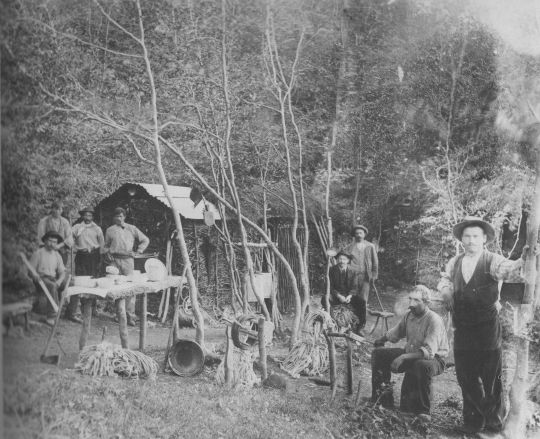 Foto Aus Faschinen erbaute Hütte im Wald