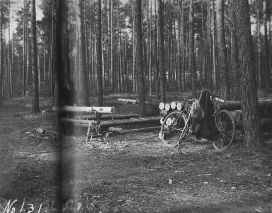 Foto "1936: Eine tragbare deutsche Entrindungsmaschine"
