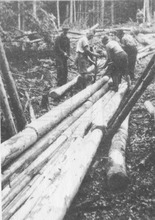 Foto Bau einer Stangenriese