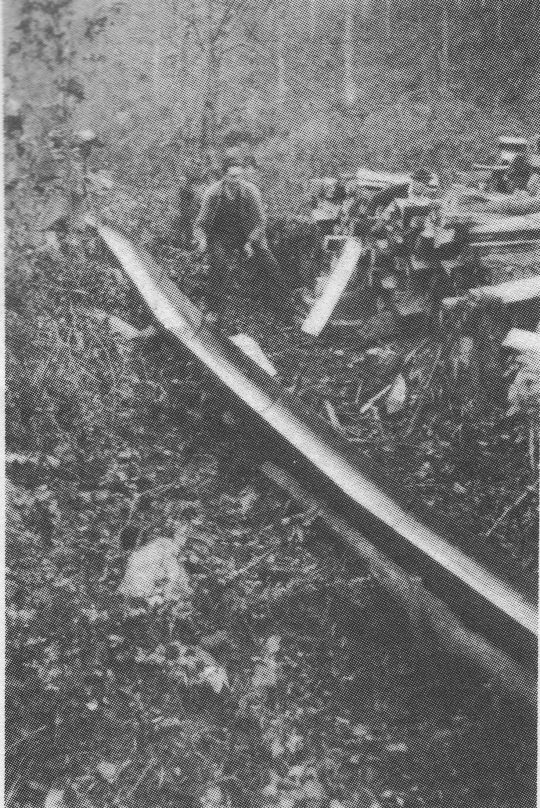 Foto Stahlblechriese