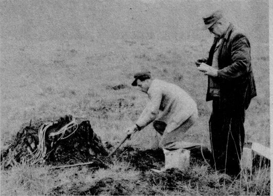 Foto Bohren des Lochs für Sprengladung in Wurzelstumpf