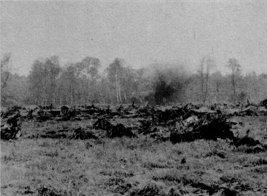 Foto Rodung durch Sprengung