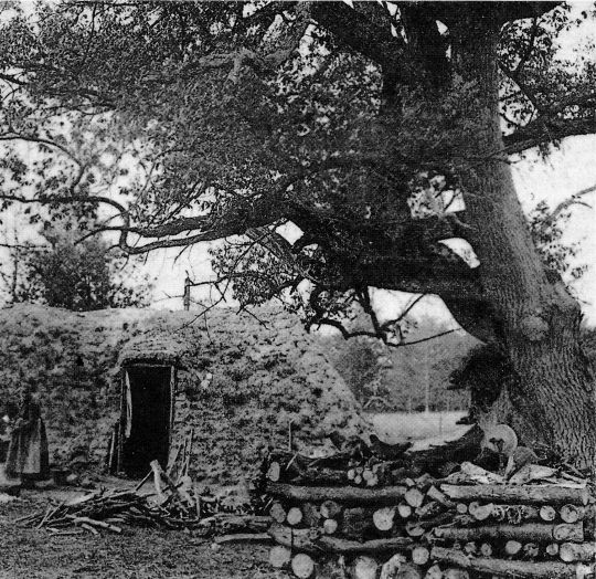 Foto Hütte und Lageplatz
