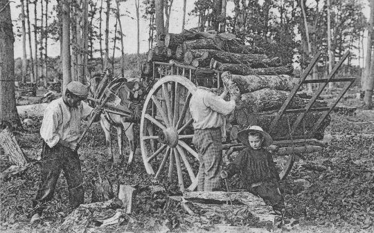 Foto Spalten und Abtransport