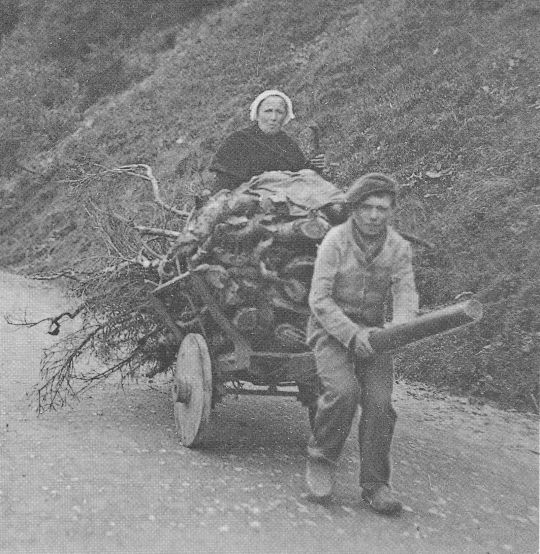 Foto Transport mit Handkarren