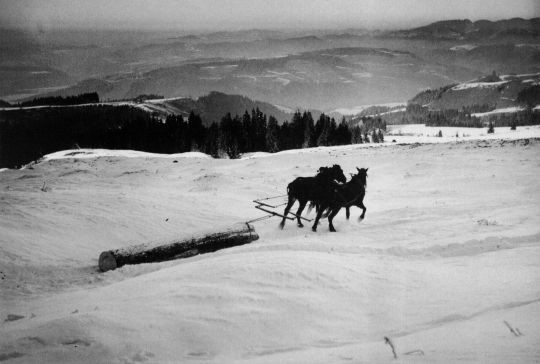 Foto "Holzen auf Rämisgummen, Holzschleike"