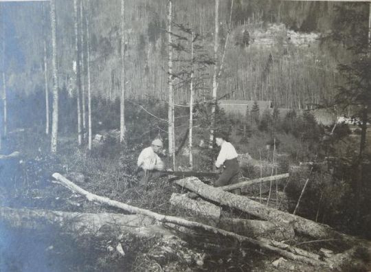 Foto "Waldarbeiter beim Sägen"
