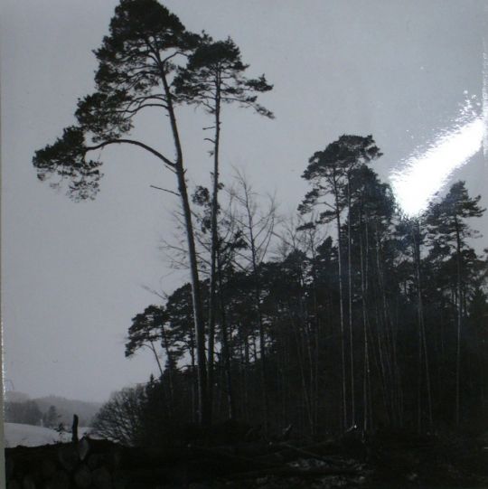 Foto Fällen, Aufarbeiten, Lagern