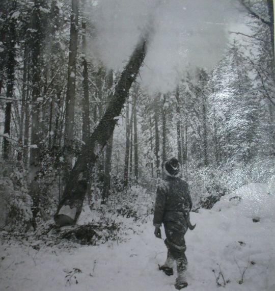 Foto Waldarbeiter beim Abbeilen der Wurzelanläufe
