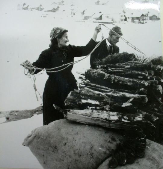 Foto Holztransport mit Pferd und Schlitten