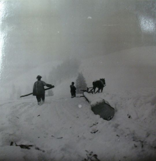Foto Holztransport mit Pferd und Schlitten
