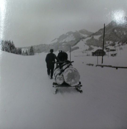 Foto Holztransport mit Pferd und Schlitten