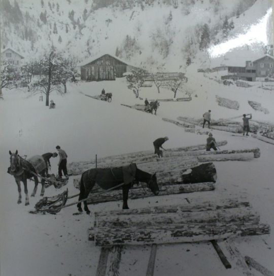 Foto Holztransport mit Pferd und Schlitten