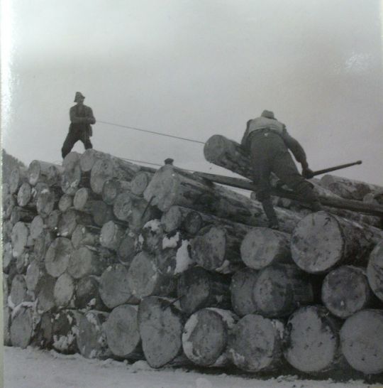 Foto Holzstapeln
