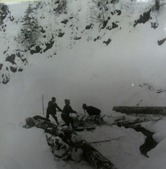Foto Holzstapeln