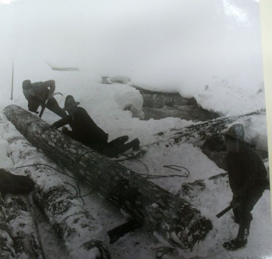 Foto Holzstapeln