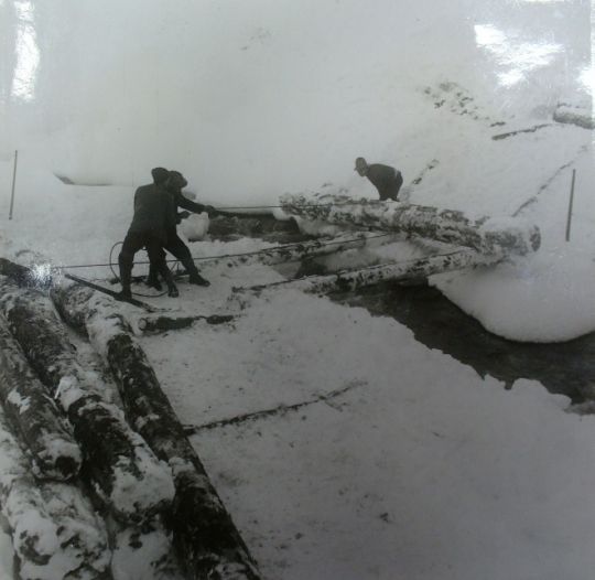 Foto Holzstapeln