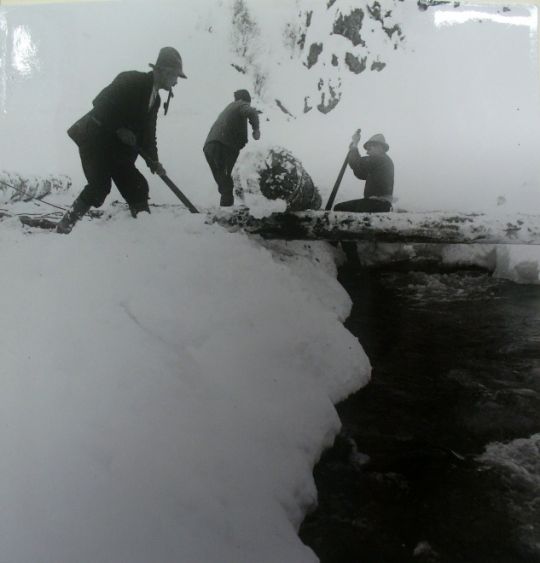 Foto Holz rücken