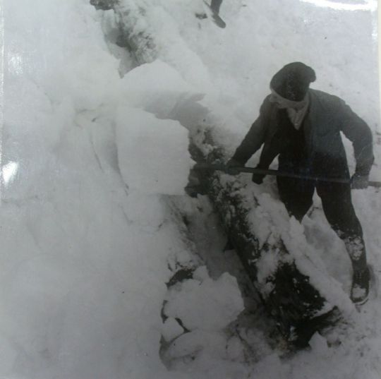 Foto Holzstapel